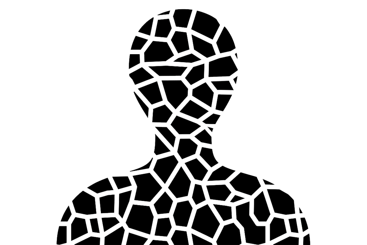 a fractured silhouette